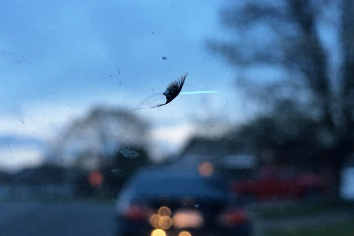 A small stone chip in a dusty windscreen, with short fracture lines spreading from the impact point